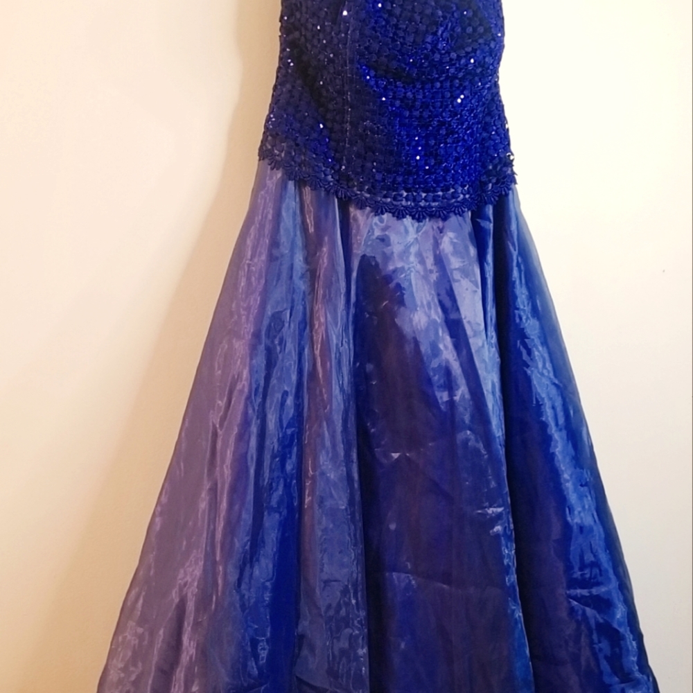 Dahlia long sleeveless prom dress